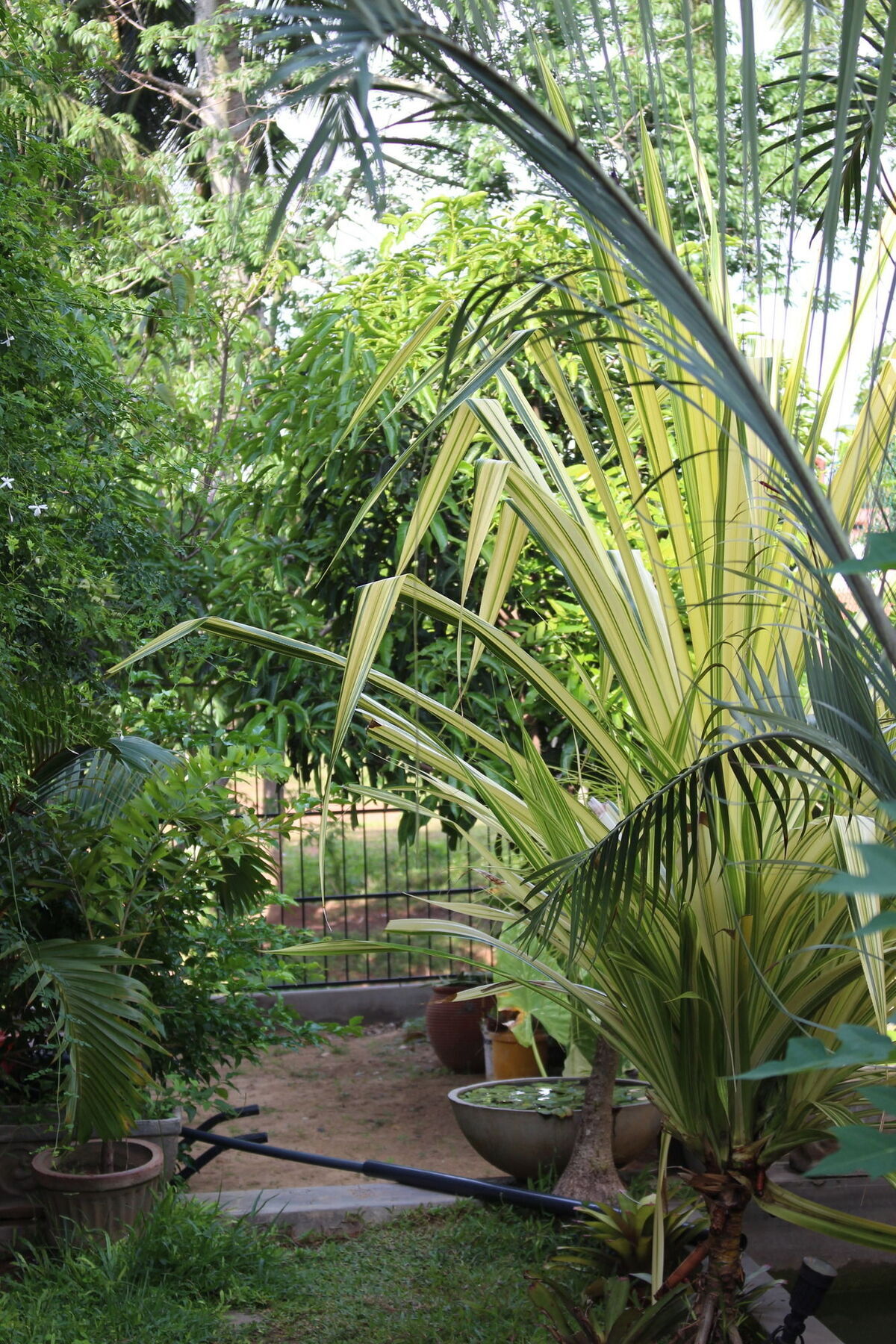 Villa Kapuru Negombo Exterior photo